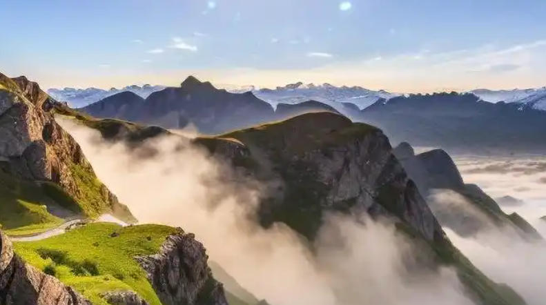 广东绿境园林景观工程有限公司轮播图3