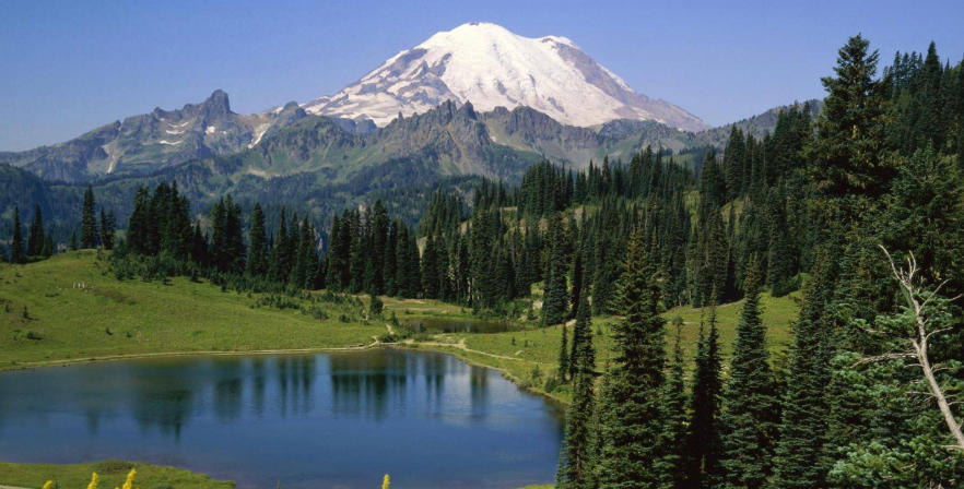 广东绿境园林景观工程有限公司轮播图1